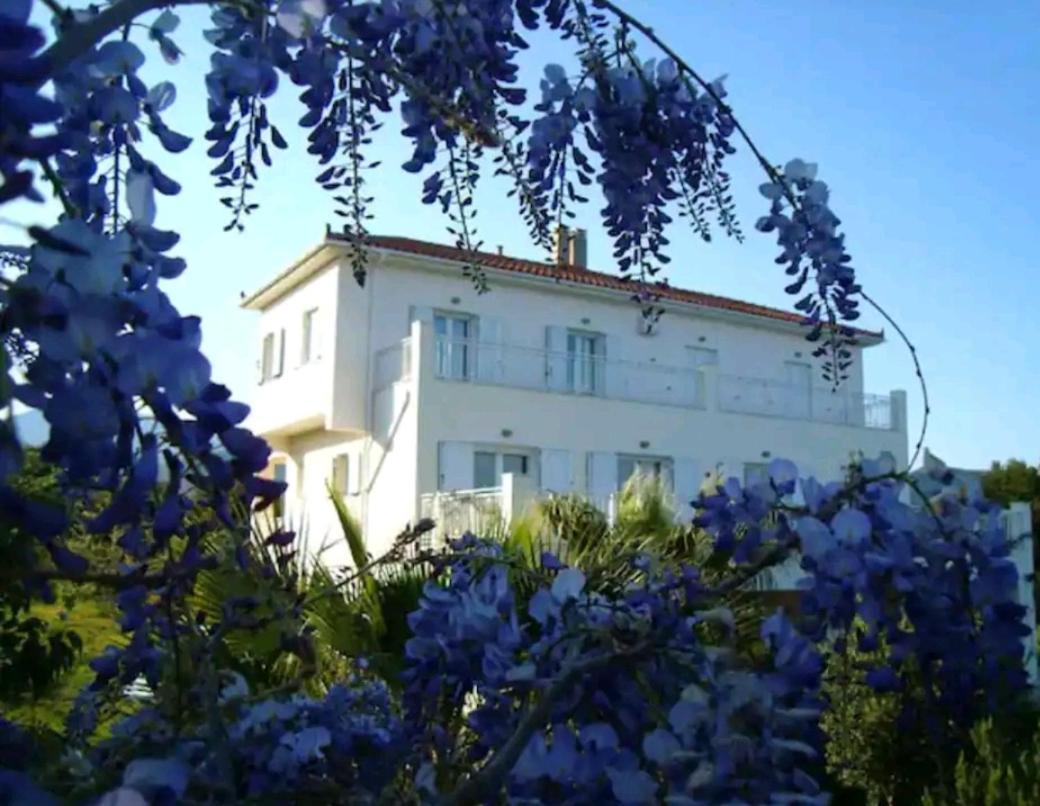 Kalamies - Secluded Beach Apartments Skala  Exterior foto